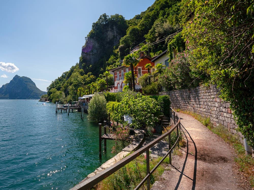 Lugano: The Olive Grove Trail | ®ExcursionMania