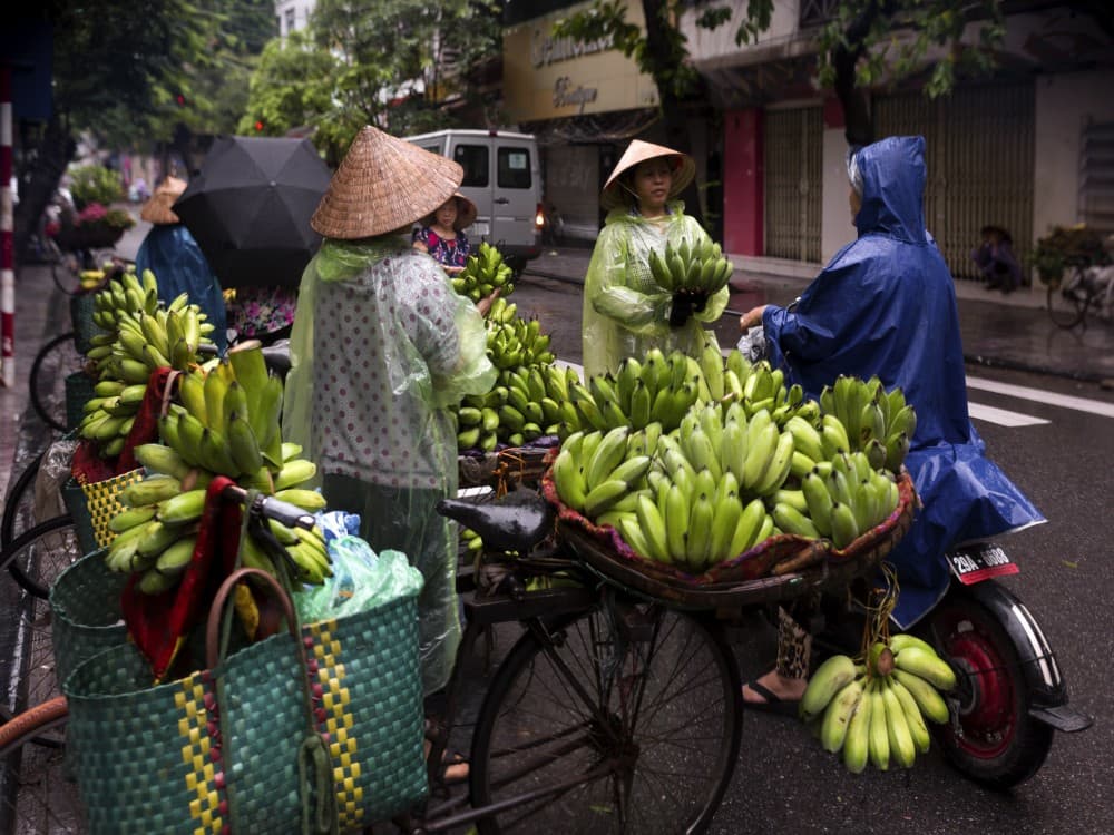 Street Food in Hanoi