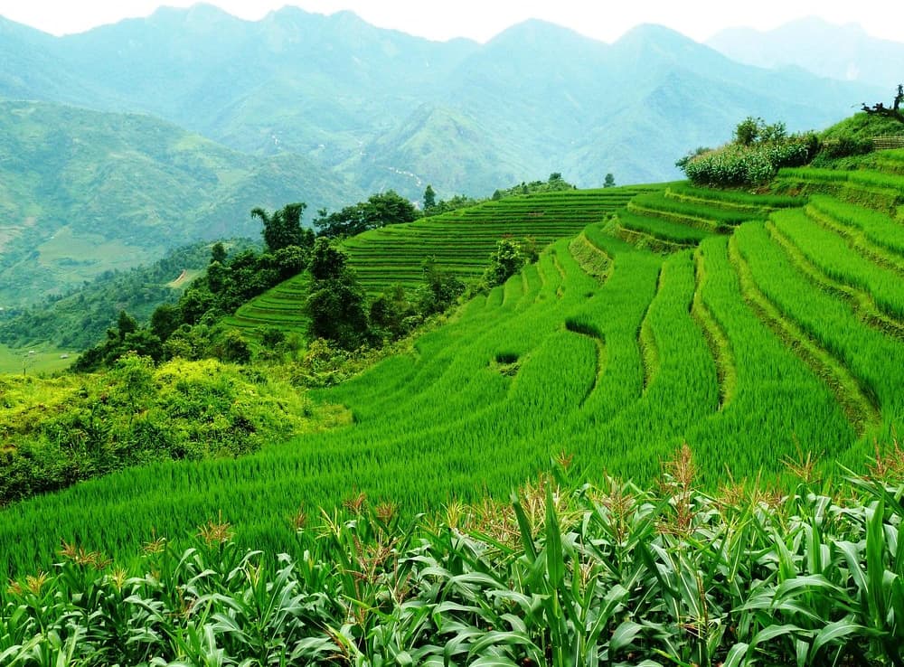 Sapa: Muong Hoa Valley | ®ExcursionMania