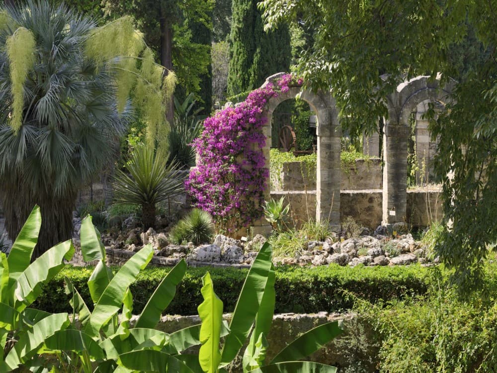Jardin des Plantes