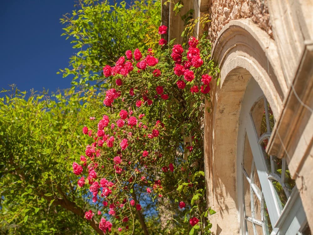 Chateau de Flaugergues