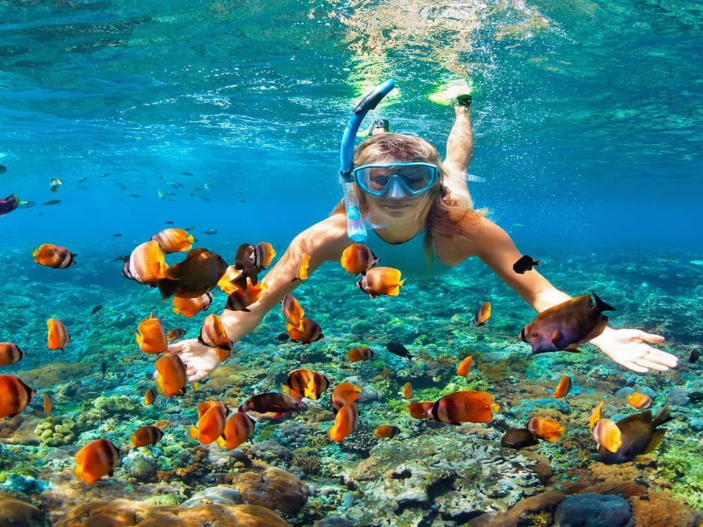 Snorkeling Tours in Hurghada