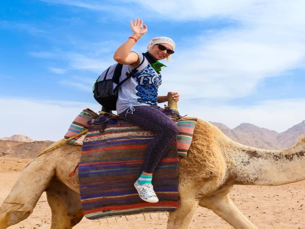 Came Riding in Hurghada