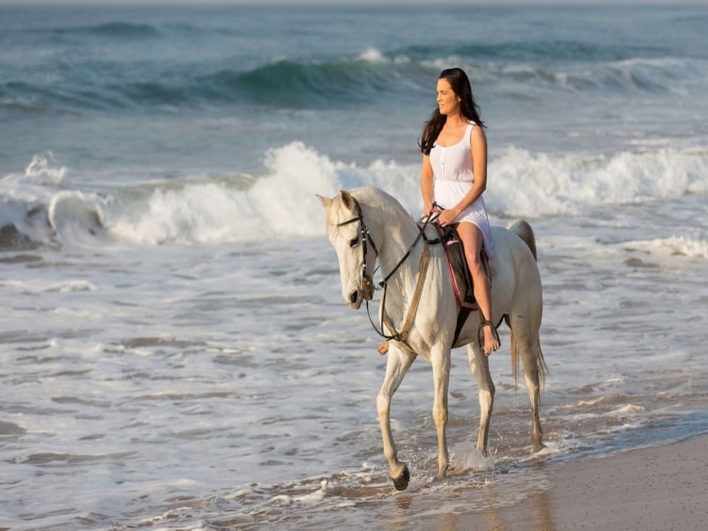 Hurghada: Horse Riding in Hurghada | ®ExcursionMania