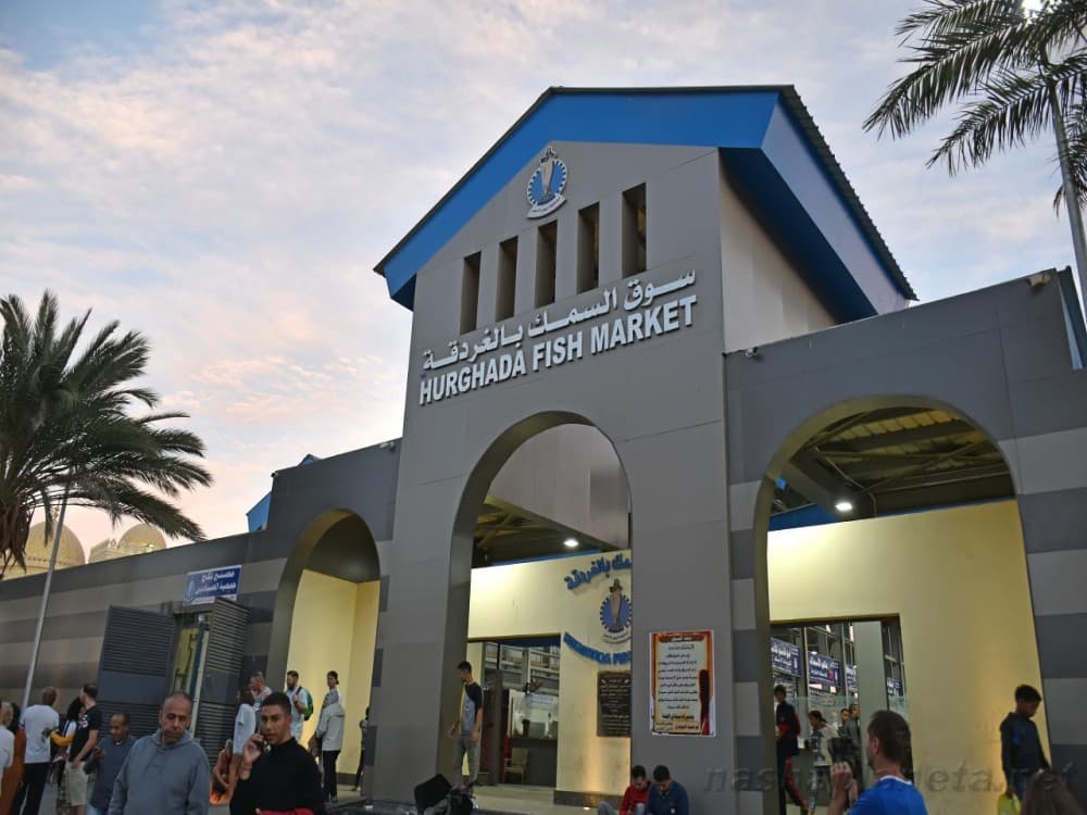 Hurghada: Hurghada Fish Market | ®ExcursionMania