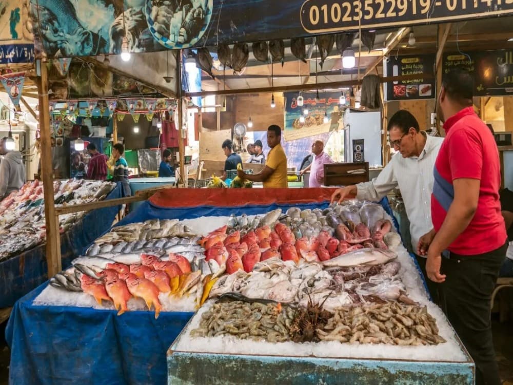 Hurghada Fish Market