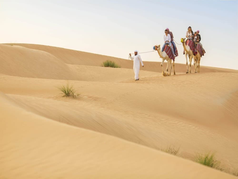Dubai Camel Riding: A Traditional Journey Through the Arabian Desert