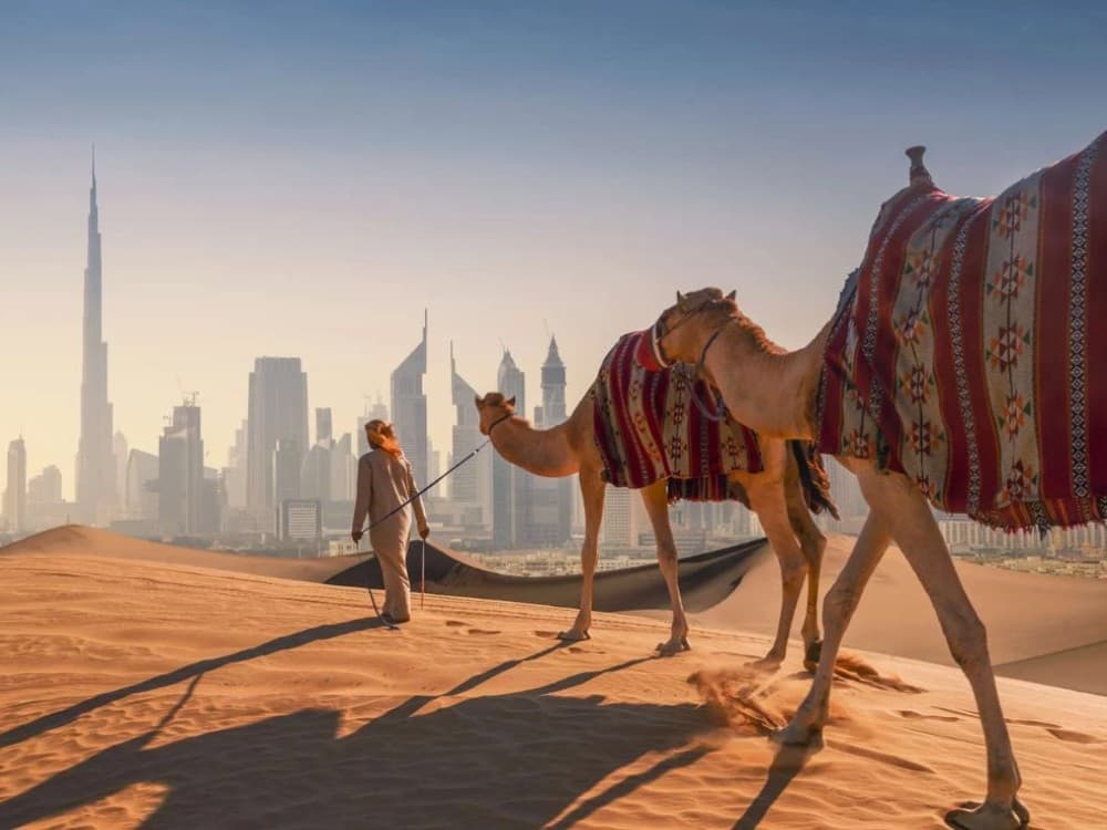 Dubai Private Tours: Discover the City Your Way