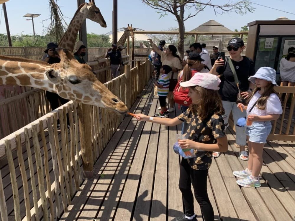 Dubai for Kids: Family-Friendly Tours and Attractions