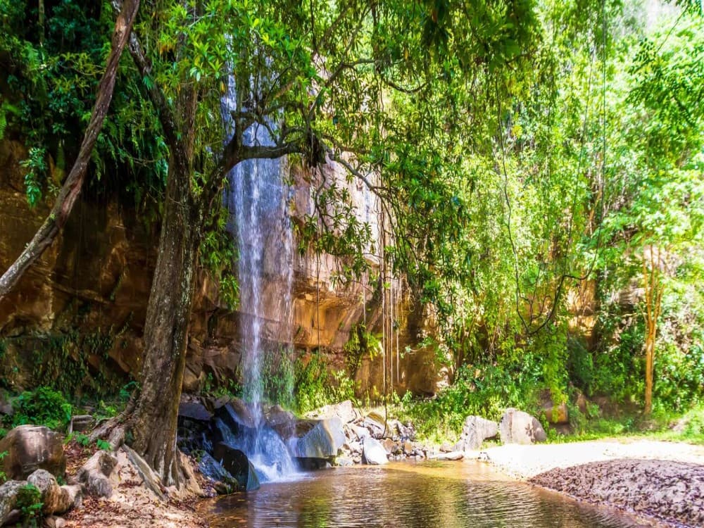 Shimba Hills National Reserve