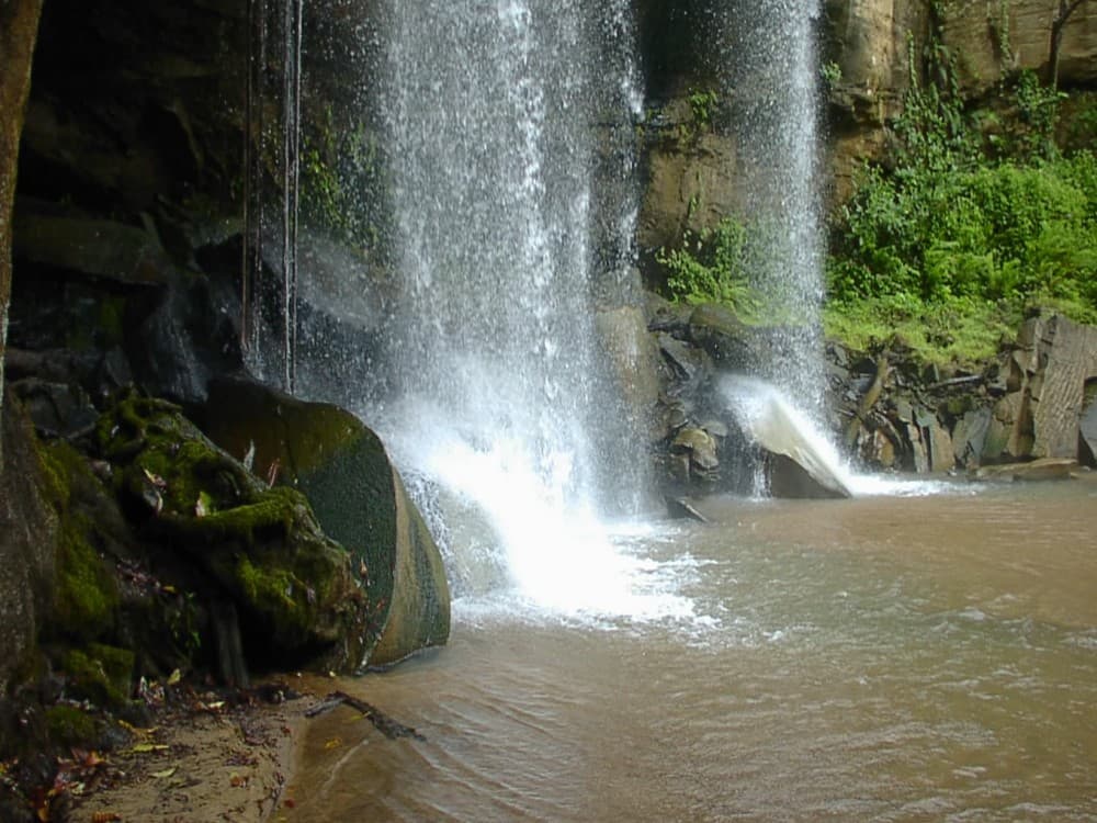 Shimba Hills National Reserve