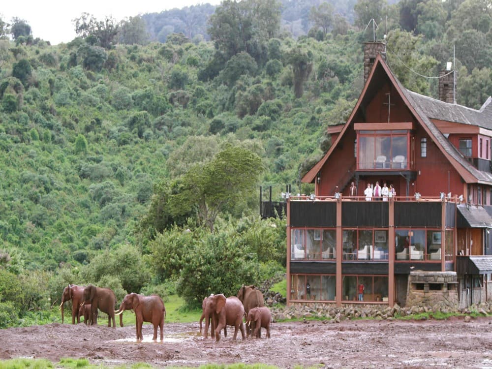 Shimba Hills National Reserve