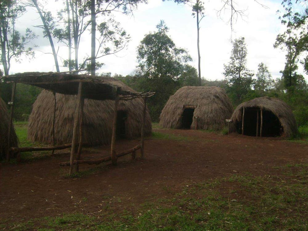 Kaya Kinondo Sacred Forest