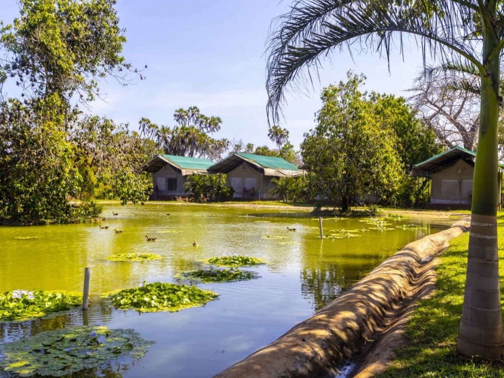 Kaya Kinondo Sacred Forest