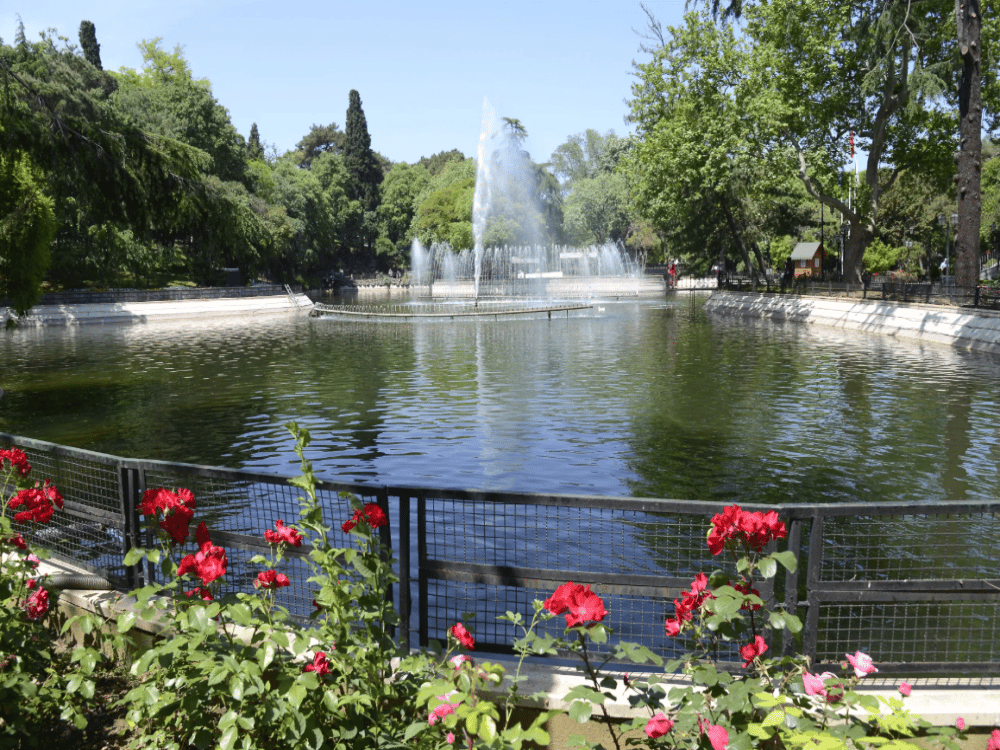 Yildiz Park