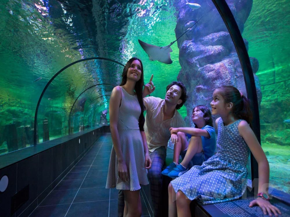 ViaSea Aquarium