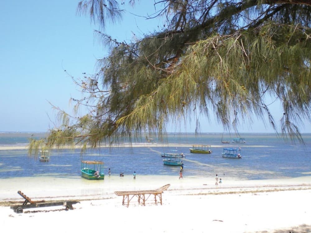Malindi Marine National Park