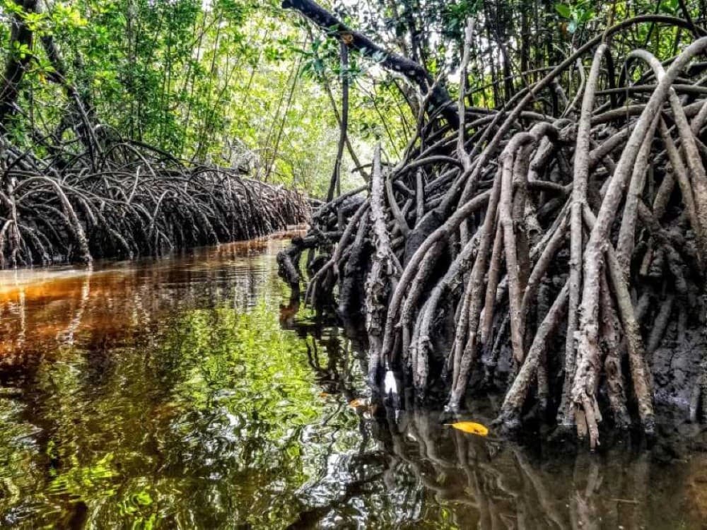 Watamu Beach & Watamu Marine National Park