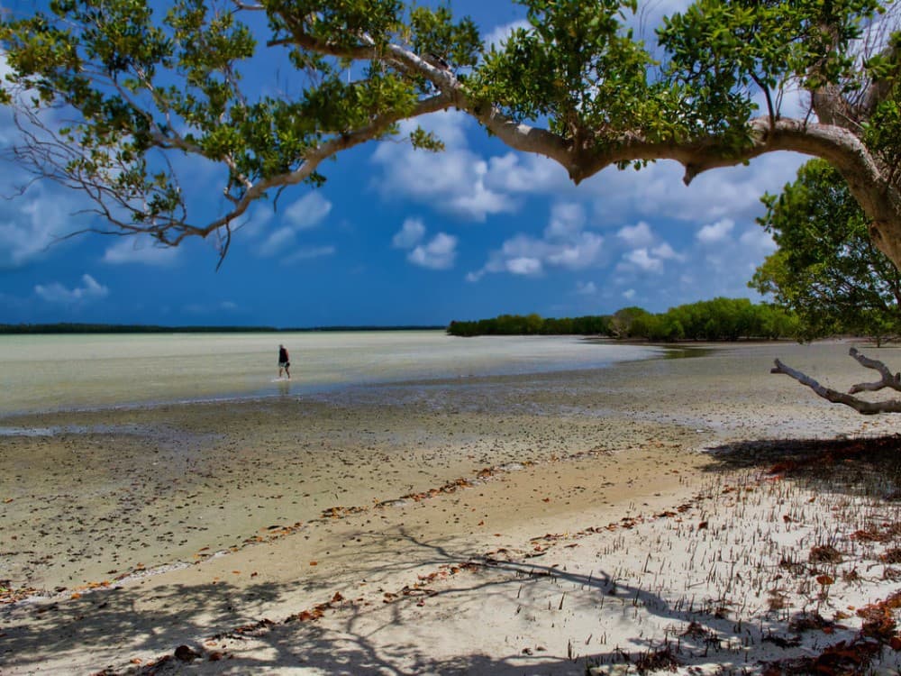 Watamu Beach & Watamu Marine National Park