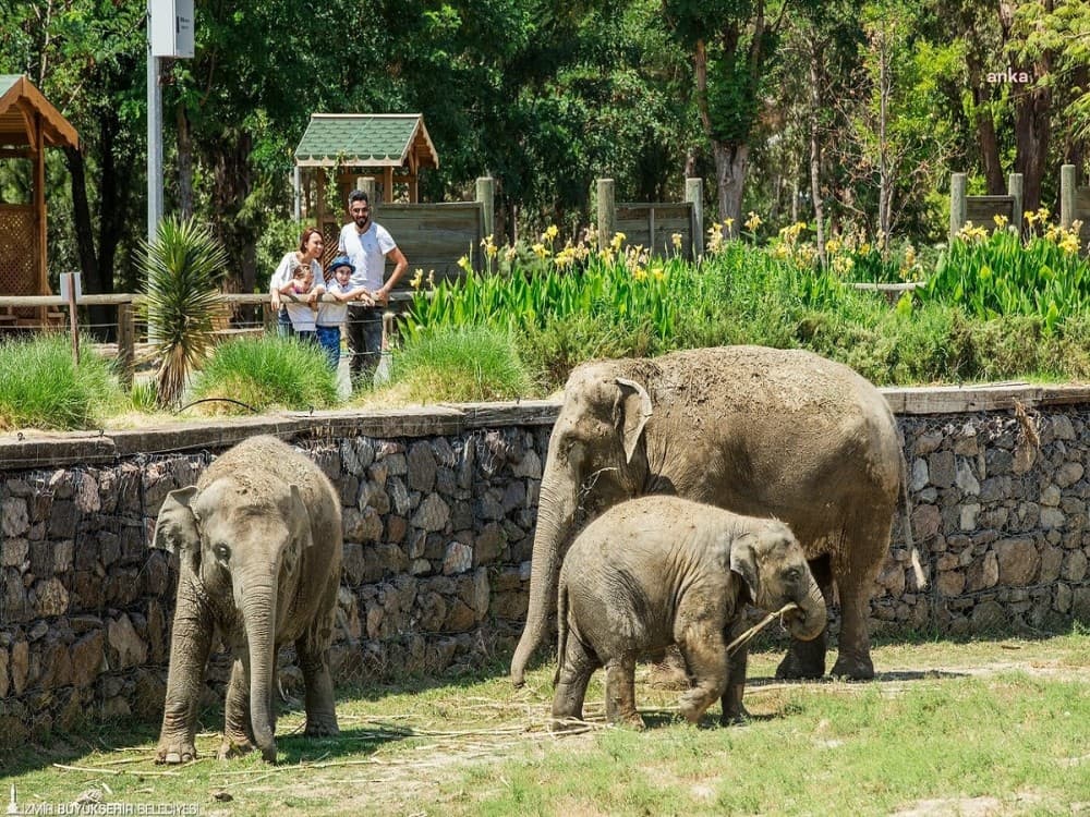 Wild Life Park