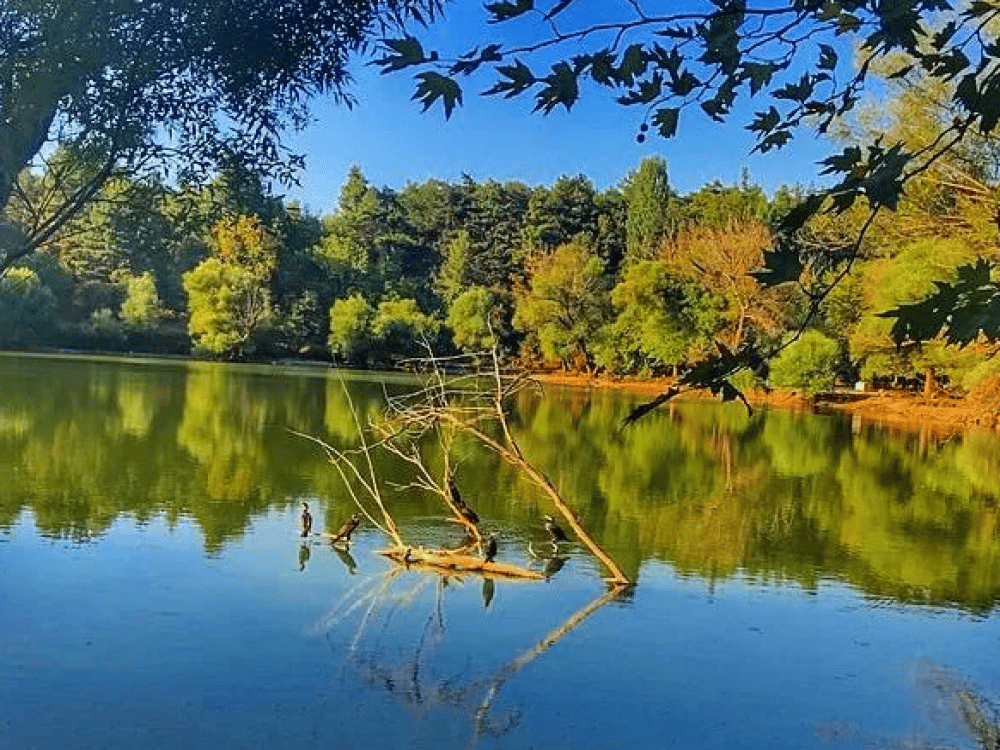 Izmir: Karagol Forest Park | ®ExcursionMania