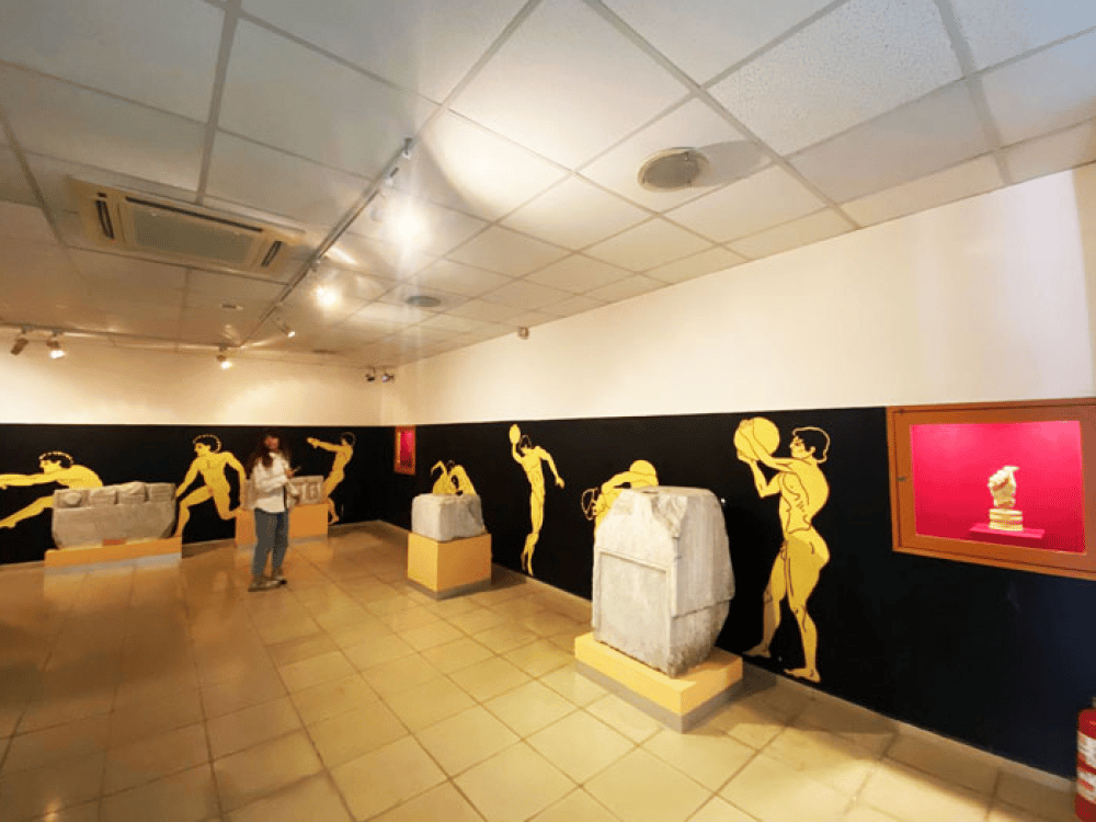 Museum of History and Art