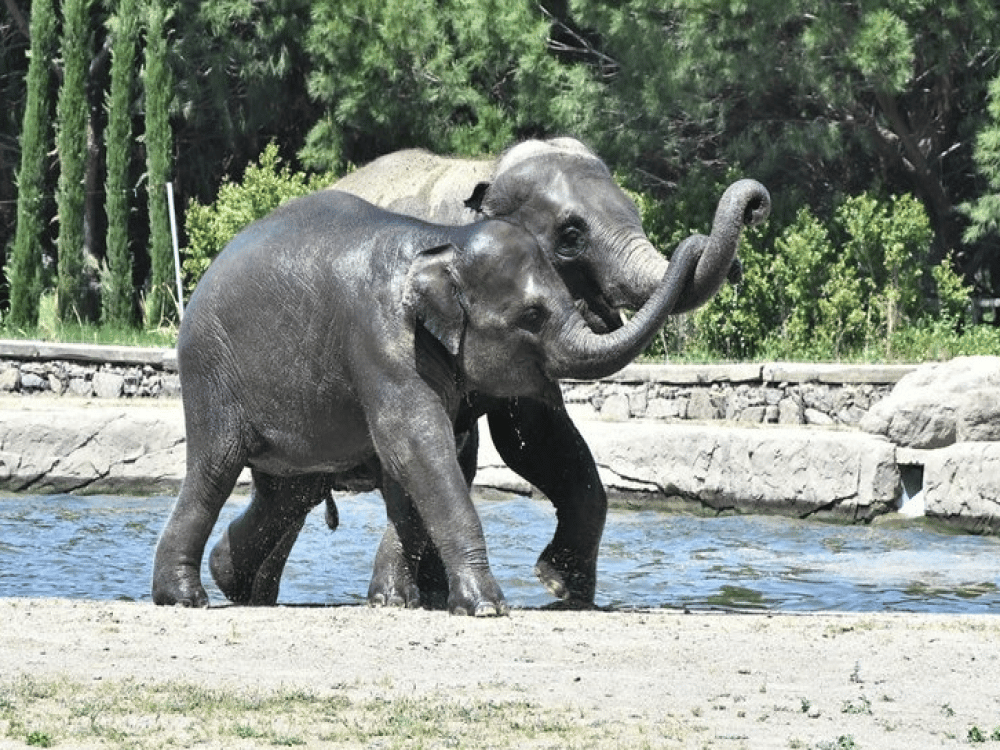 Izmir: Natural Life Park | ®ExcursionMania