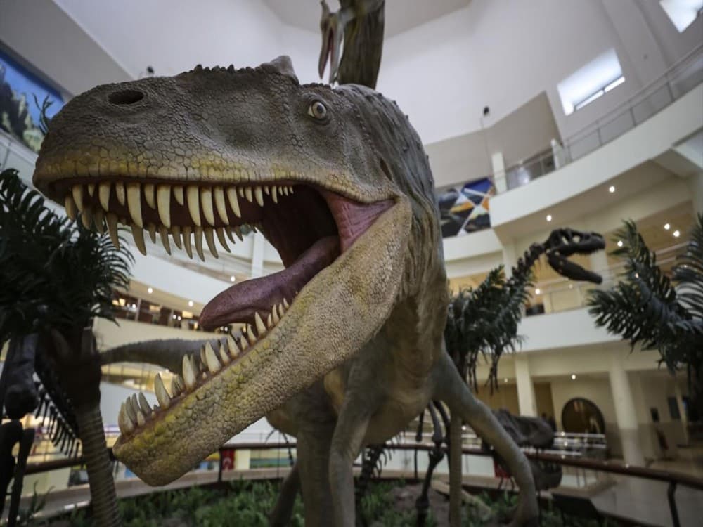 Natural History Museum