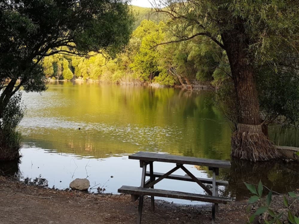 Izmir: Karagöl Recreation Area | ®ExcursionMania