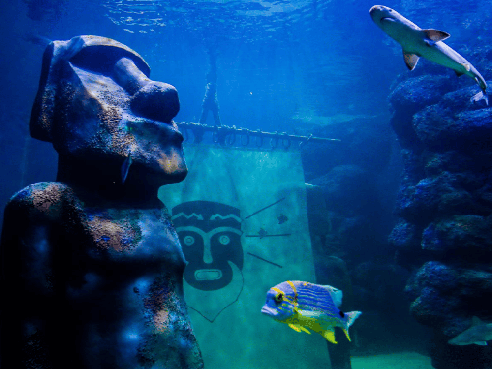 Funtastic Aquarium İzmir