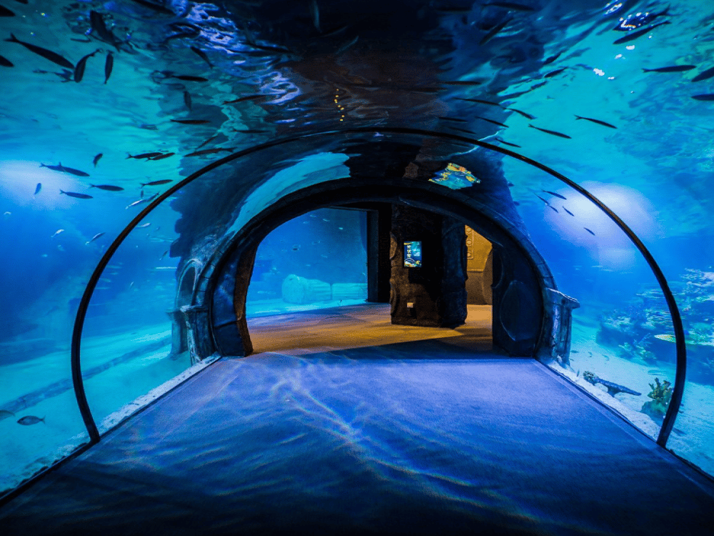 Funtastic Aquarium İzmir