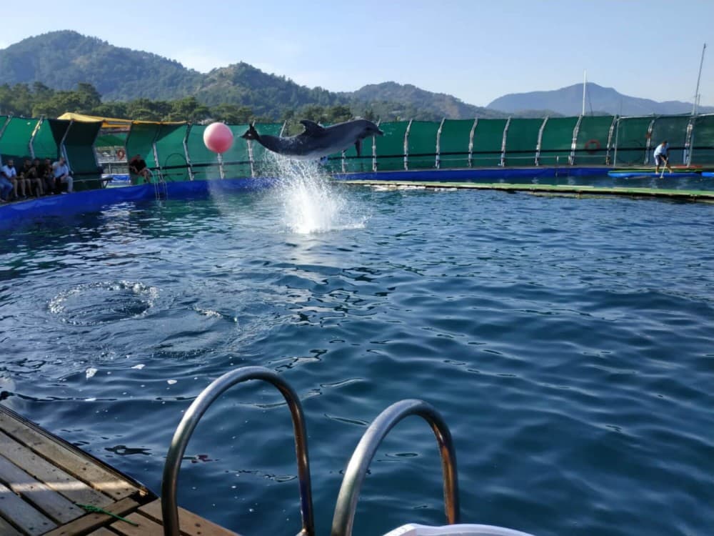 Kemer Dolphin Park