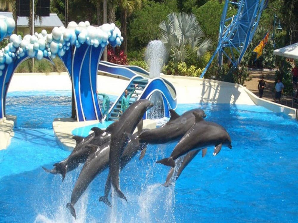 Kemer Dolphin Park