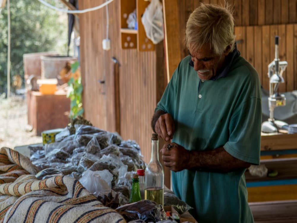 Bayır (Village Bayır)