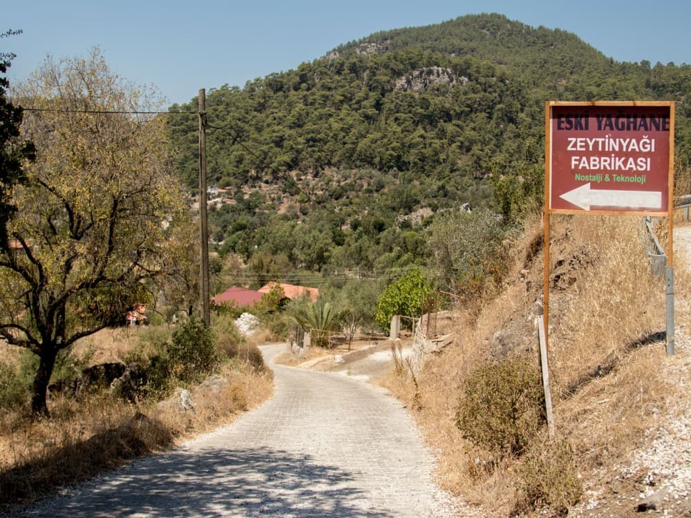 Bayır (Village Bayır)