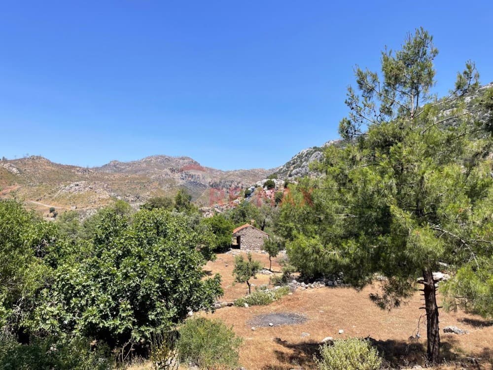 Bayır (Village Bayır)