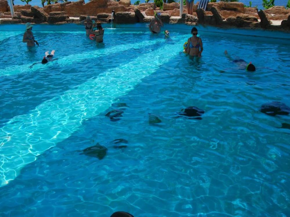 Sealanya Dolphinpark Seapark