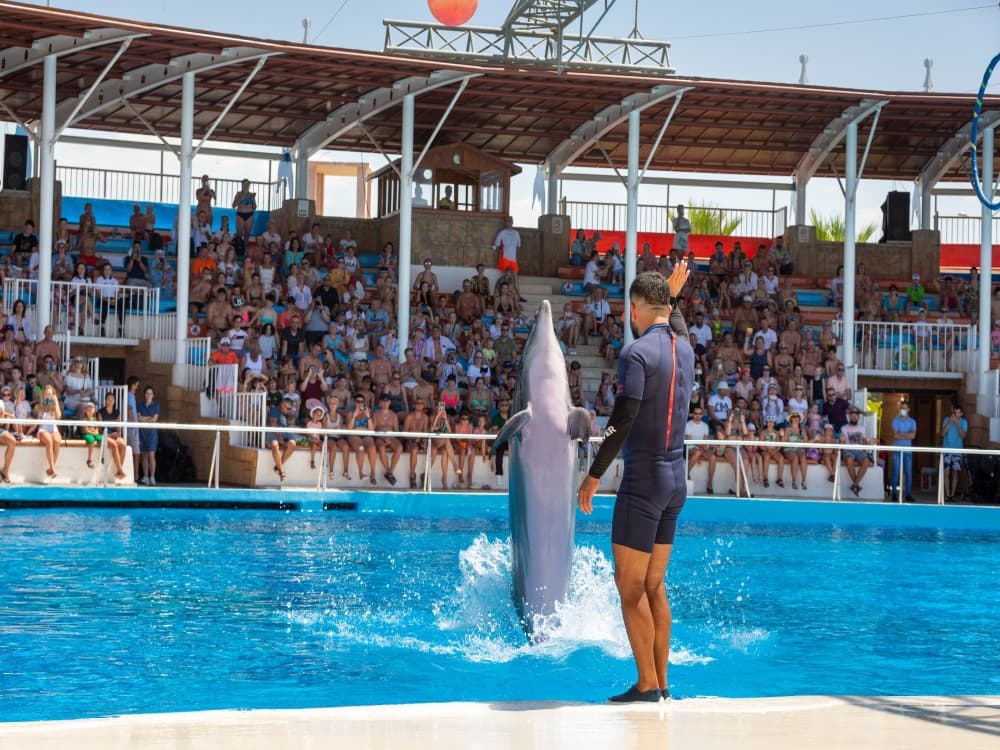 Sealanya Dolphinpark Seapark