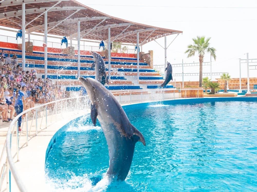 Sealanya Dolphinpark Seapark