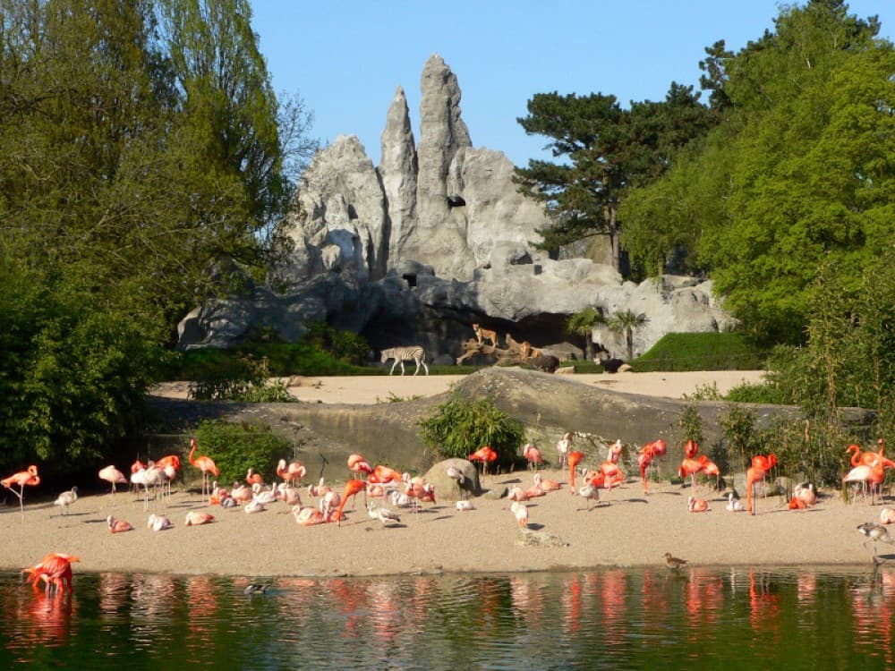 Hamburg: Tierpark Hagenbeck | ®ExcursionMania