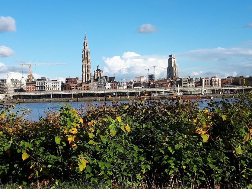Antwerp: St. Anna's Tunnel / Pedestrians' Tunnel | ®ExcursionMania