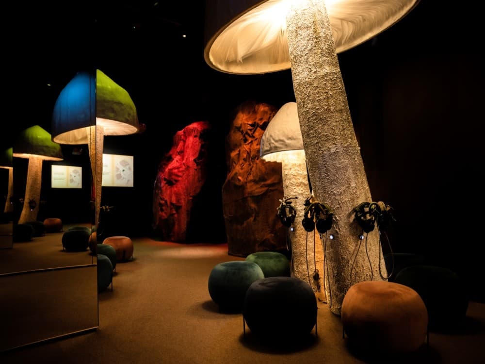 Museokeskus Vapriikki