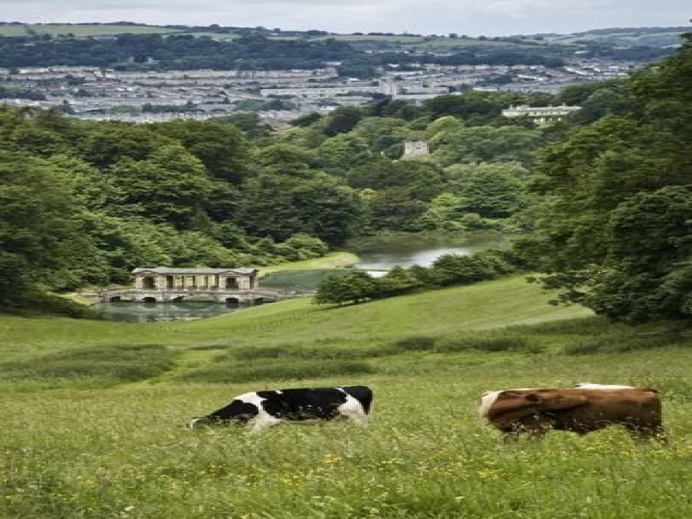 Prior Park Landscape Gardens