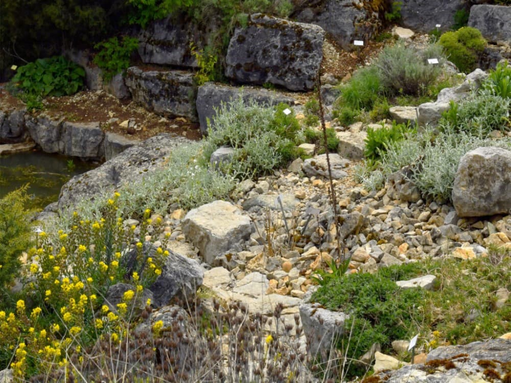Jardin Botanique de Neuchatel