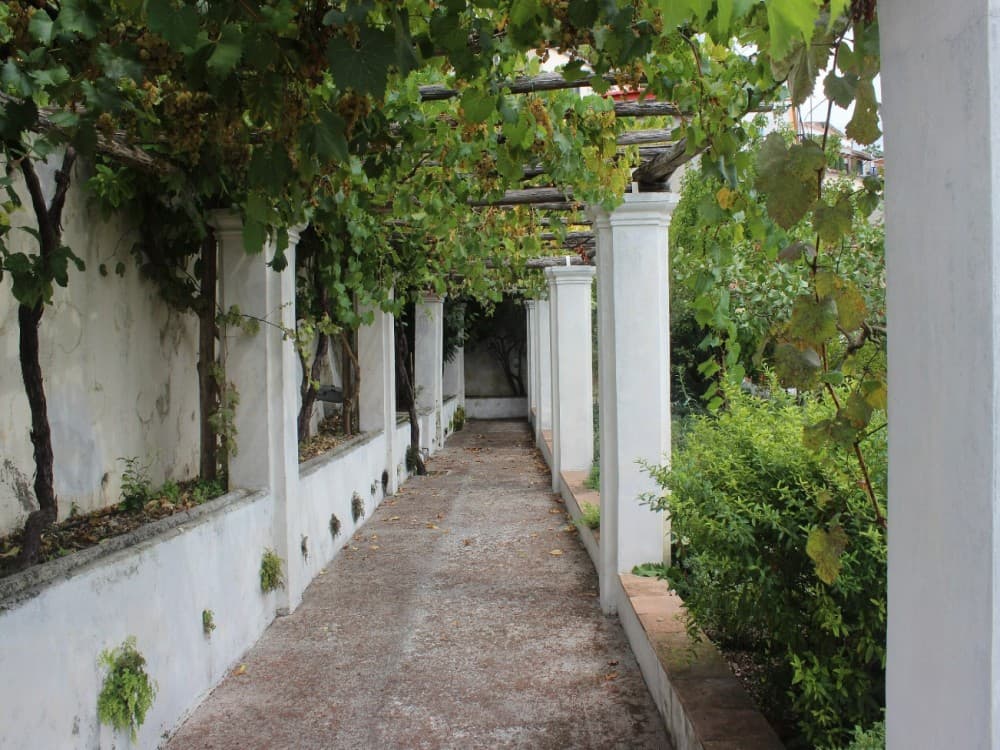 Giardino della Minerva