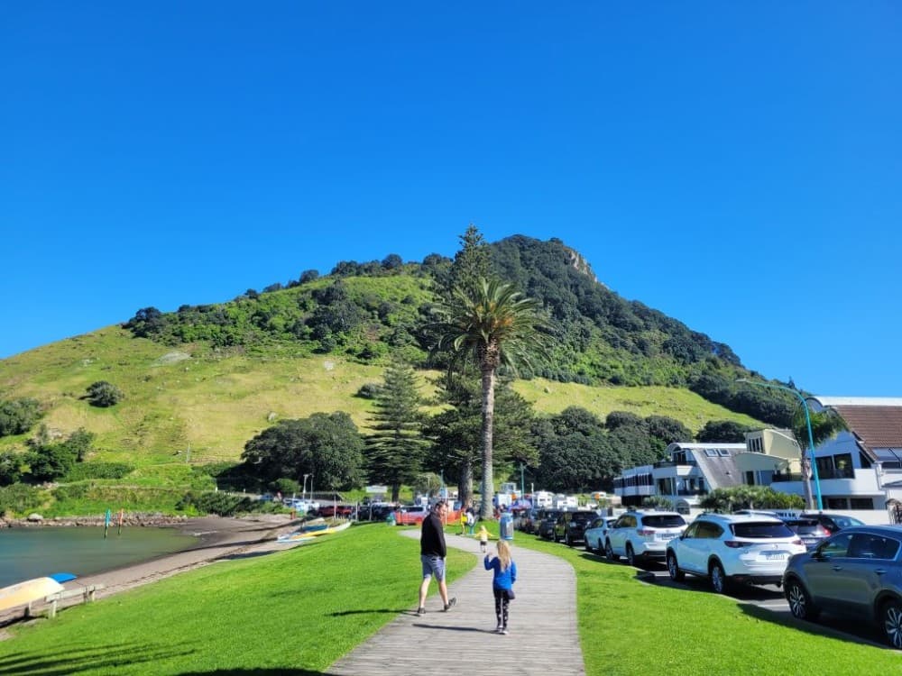 Mount Maunganui Summit Track