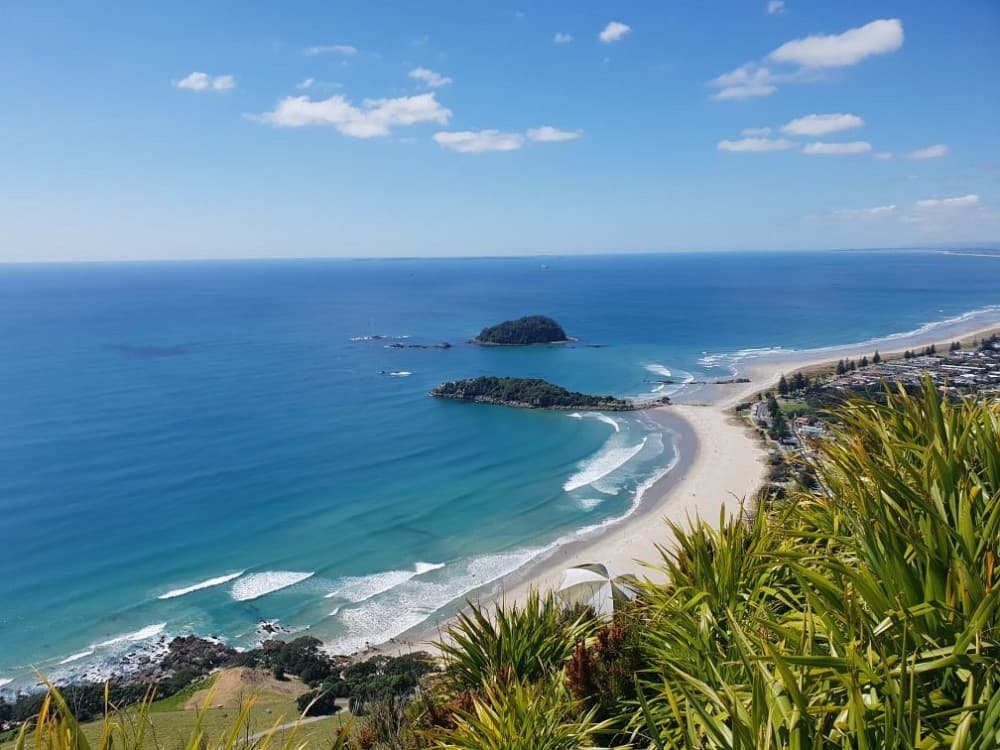 Mount Maunganui Summit Track