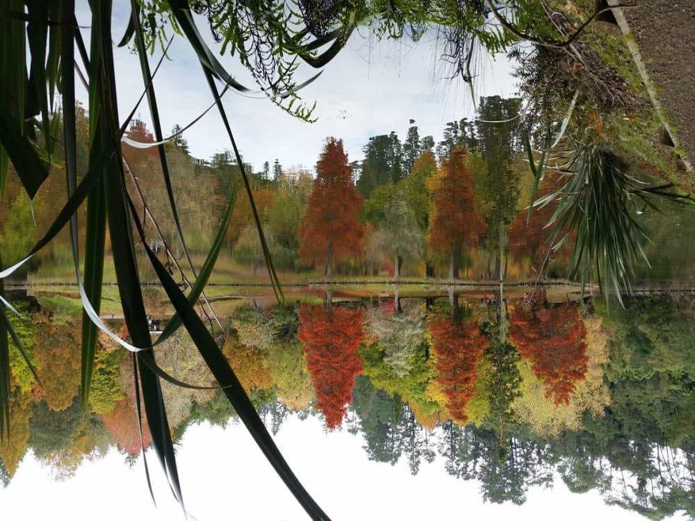 Tauranga: McLaren Falls Park | ®ExcursionMania