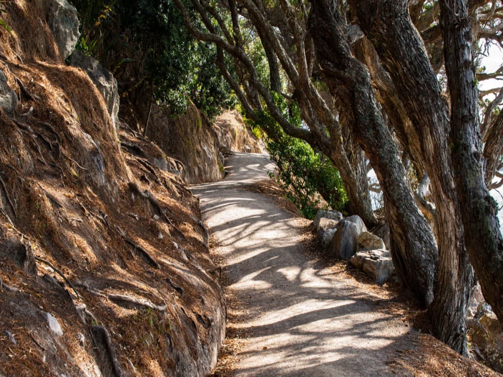 Mount Maunganui Base Track