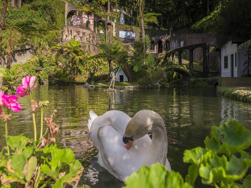Monte Palace Madeira